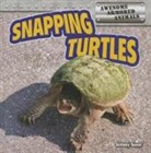 Bethany Baxter - Snapping Turtles