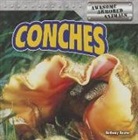 Bethany Baxter - Conches