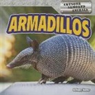 Bethany Baxter - Armadillos