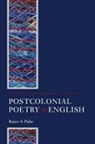 Rajeev S. Patke, Rajeev S. (Associate Professor Patke, Patke Rajeev S. - Postcolonial Poetry in English