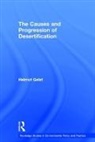 Helmut Geist, Geist Helmut - Causes and Progression of Desertification