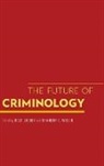 Rolf Loeber, Rolf (Professor Loeber, Rolf Welsh Loeber, Rolf Loeber, Loeber Rolf, Brandon C. Welsh... - Future of Criminology
