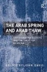 John Davis, John Davis - Arab Spring and Arab Thaw