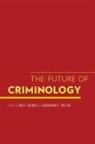 Rolf Loeber, Rolf (Professor Loeber, Rolf Welsh Loeber, Rolf Loeber, Rolf (Professor Loeber, Brandon C Welsh... - Future of Criminology