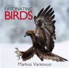Markus Varesvuo - Fascinating Birds