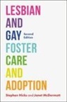 Stephen Hicks, Hicks Stephen and MC, Janet McDermott, Janet Hicks Mcdermott - Lesbian and Gay Foster Care and Adoption, Second Edition