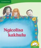 Reviva Schermbrucker, Schermbrucker Reviva - Ngicolisa Kakhulu (Siswati)