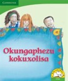 Reviva Schermbrucker, Schermbrucker Reviva - Okungaphezu Kokuxolisa (Isizulu)
