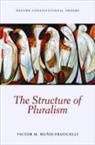 Victor M Muniz-Fraticelli, Victor M. Muniz-Fraticelli, Victor M. (Assistant Professor Muniz-Fraticelli - Structure of Pluralism