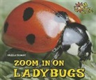 Melissa Stewart - Zoom in on Ladybugs