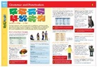 Flash Kids (COR), Flash Kids, Flash Kids Editors - Grammar and Punctuation Flashcharts