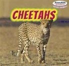 Clara Reade - Cheetahs