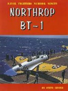 Steve Ginter - Northrop BT-1 Navy Dive Bomber