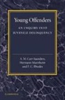 A. M. Carr-Saunders, A. M. Mannheim Carr-Saunders, Hermann Mannheim, E. C. Rhodes - Young Offenders