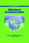 American Chemical Society, Chang-Jun Liu, M. Aresta, Michele Aresta, Michele (University of Bari) Aresta, Chang-Jun Liu... - Utilization of Greenhouse Gases