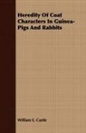 William E. Castle - Heredity of Coat Characters in Guinea-Pi