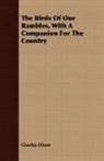 Charles Dixon - The Birds of Our Rambles, With a Compani