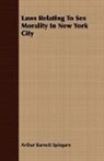 Arthur Bar Spingarn, Arthur Barnett Spingarn - Laws Relating to Sex Morality in New Yor