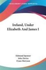 John Davies, Fynes Moryson, Edmund Spenser - Ireland, Under Elizabeth and James I