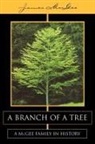 James Mcgee - Branch of a Tree