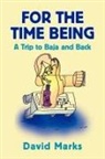 David Marks - For the Time Being