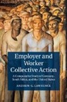 Andrew G. Lawrence, Lawrence Andrew G. - Employer and Worker Collective Action