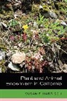 Susan Harrison, Susan P. Harrison, Harrison Susan, Susan Harrison - Plant and Animal Endemism in California