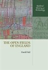 David Hall, Hall David - The Open Fields of England