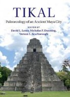 Nicholas Dunning, David Lentz, David L Lentz, Dr. David L. Dunning Lentz, Vernon Scarborough, Nicholas P. Dunning... - Tikal
