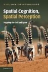 Francine L. (University of Michigan Dolins, Francine L. Mitchell Dolins, Francine L. Dolins, Robert W. Mitchell - Spatial Cognition, Spatial Perception