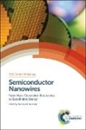 Prof. Wei (University of Michigan Lu, Wei Lu, Wei (University of Michigan Lu, Wei Xiang Lu, Wei Lu, Hans-Jorg Schneider... - Semiconductor Nanowires