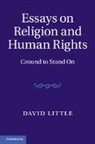 David Little, Little David - Essays on Religion and Human Rights