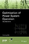 Zhu, J Zhu, Jizhong Zhu, Zhu Jizhong - Optimization of Power System Operation