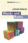 Prof Steven Pinker, Steven Pinker - Words and Rules
