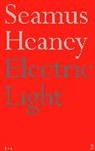 Seamus Heaney - Electric Light