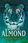David Almond - Secret Heart