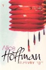 Alice Hoffman - Illumination Night