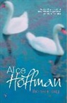 Alice Hoffman - River King -the-