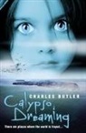 Charles Butler - Calypso Dreaming