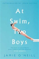 Jamie Neill, O&amp;apos, Jamie O'Neill, O'Neill Jamie - At Swim, Two Boys