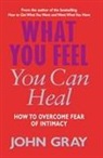 John Gray - What You Feel You Can Heal