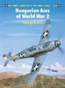 Stephan Boshniakov, Gyorgy Punka, György Punka, Stephan Boshniakov, Boshniakov Stephan, Styling Mark... - Hungarian and Bulgarian Aces of World War 2