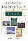 Gordon Newby, Newby Gordon - A Concise Encyclopedia Of Islam