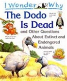 Andrew Charman - I Wonder why the Dodo is Dead