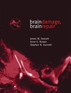 Stephen Dunnett, Stephen B. Dunnett, Stephen B. (School of Biosciences Dunnett, Dunnett Stephen B., James Fawcett, James W. Fawcett... - Brain Damage, Brain Repair