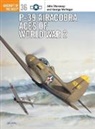 George Mellinger, John Stanaway, Jim Laurier, Mark Styling, Iain Wyllie - P 29 airacobra aces of world war 2