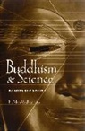 Alan Wallace, B Alan Wallace, B. Alan Wallace, B. Alan Wallace, Wallace B. Alan - Buddhism and Science