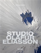 Olafur Eliasson, Ólafur Eliasson, Burkhard Riemschneider, Philip Ursprung, Burkhard Riemschneider - Studio olafur eliasson