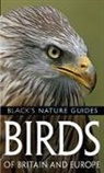 Volker Dierschke - Birds of Britain and Europe