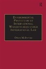 Owen McIntyre, McIntyre Owen - Environmental Protection of International Watercourses Under